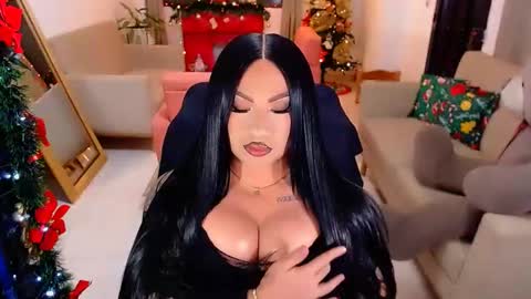 Snapshot of punisher9inchss chatting on 12-17-25, 05:24 online show from 12-17-25, 05:24