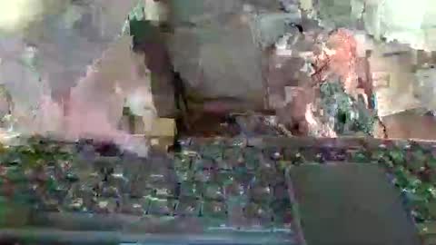 pup_y online show from 01-12-26, 01:16