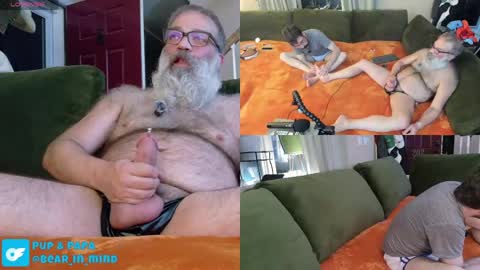 Snapshot of pupnpapa chatting on 05-23-26, 01:44 Pup And Papa bear online show from 05-23-26, 01:44