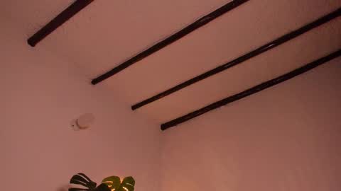 Snapshot of purple_opal chatting on 02-09-25, 10:11 Vero online from Tuesday to Sunday online show from 02-09-25, 10:11