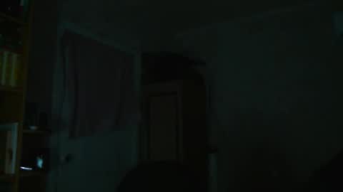 Snapshot of pusaprada chatting on 11-26-25, 04:08 pusaprada online show from 11-26-25, 04:08