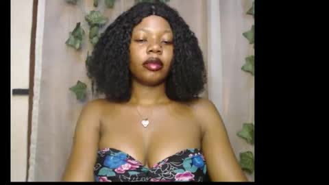 stella online show from 01-31-26, 11:47