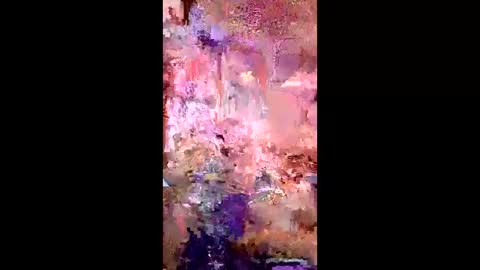 pussycat1331 online show from 04-22-26, 07:44