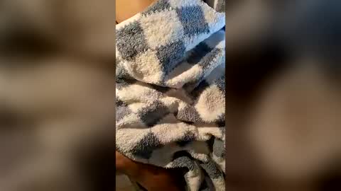 pussyeater420696953 online show from 06-16-26, 06:38