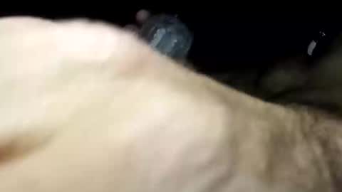 Pussyluver420 online show from 11-11-25, 06:57