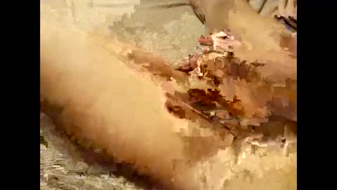 Thick Pussy banger online show from 09-28-25, 07:52