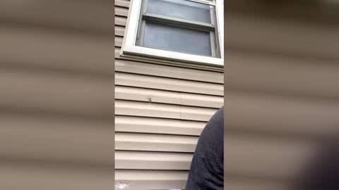 pyrex8 online show from 04-13-26, 08:58