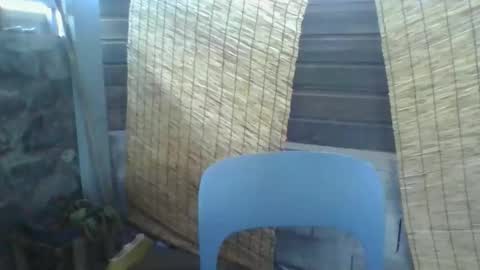 Python online show from 03-10-26, 02:27