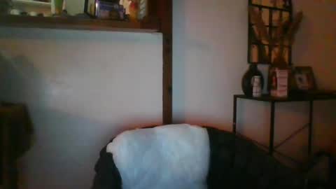 Python online show from 07-31-26, 02:33