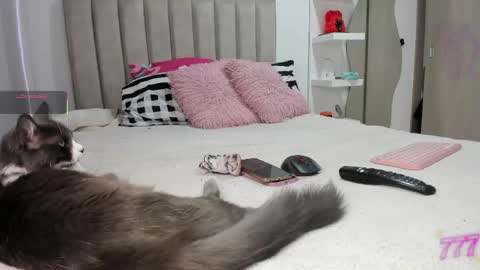 Snapshot of queen_antonella_oficial chatting on 05-26-26, 10:50 QUEEN ANTONELLA online show from 05-26-26, 10:50