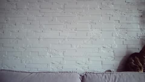 Snapshot of queenofmodels chatting on 11-17-25, 06:08 QueenOfModels online show from 11-17-25, 06:08