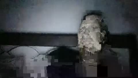 Snapshot of qwezxcqweasdzxc chatting on 10-23-25, 02:44 qwezxcqweasdzxc online show from 10-23-25, 02:44