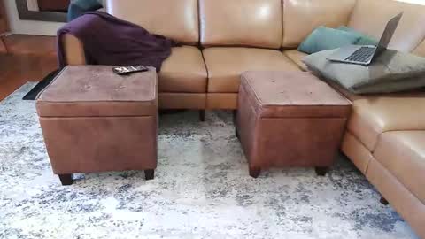 Snapshot of raffertynow chatting on 02-07-26, 02:59 DressSock Shoe online show from 02-07-26, 02:59