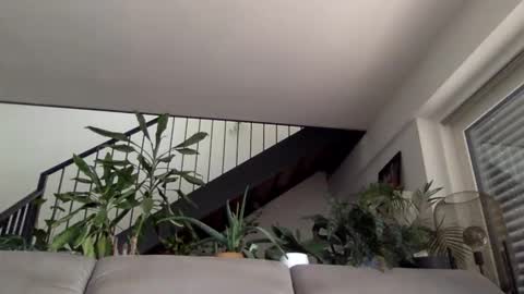 Snapshot of ramler0815 chatting on 05-07-26, 08:20 ramler0815 online show from 05-07-26, 08:20