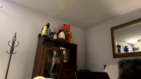    RAMONA Q   online show from 12-04-25, 08:56