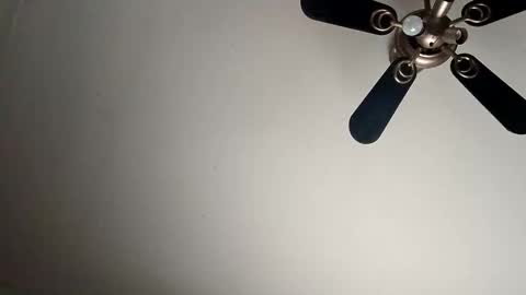 Snapshot of randallcody15 chatting on 01-06-25, 09:11 randallcody15 online show from 01-06-25, 09:11