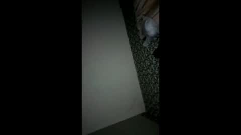 Snapshot of randallcody15 chatting on 10-06-25, 11:24 randallcody15 online show from 10-06-25, 11:24