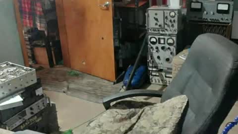 Randall online show from 07-15-26, 07:52