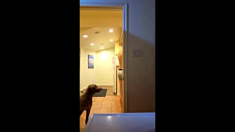 randmorty4 online show from 01-15-26, 04:28