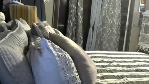 Randy8inbater online show from 01-09-25, 05:34