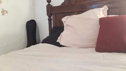 Snapshot of ranthanplan46 chatting on 02-07-25, 12:17 Ran online show from 02-07-25, 12:17