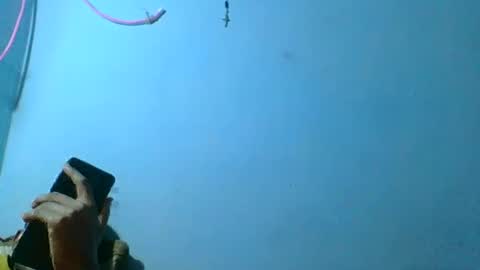 rasoelysca online show from 03-01-26, 04:47