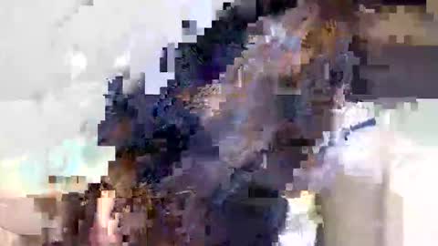 Snapshot of ravenblissx chatting on 06-09-26, 03:56 ravenblissx online show from 06-09-26, 03:56