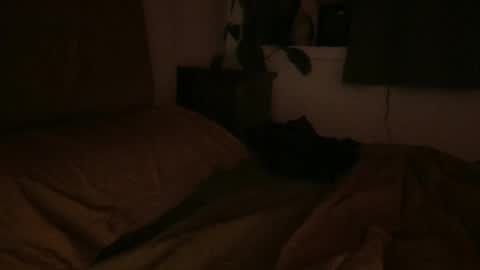 Snapshot of ravenousbttm chatting on 02-06-25, 06:51 sebas online show from 02-06-25, 06:51