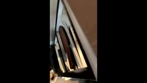 ravenxbeastie online show from 02-17-25, 08:58