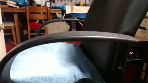 Ray online show from 11-04-25, 12:04