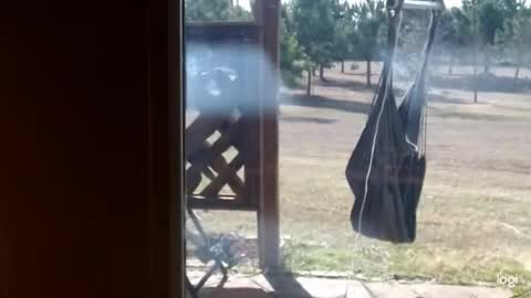 ready4aride2day online show from 02-18-26, 03:52