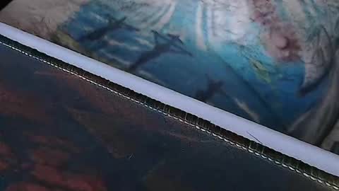 realrubpirate online show from 04-01-26, 08:04