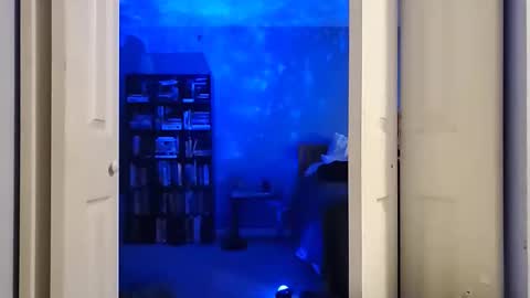 rebelstarlight online show from 02-16-26, 10:00