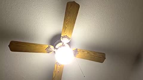 red24devils online show from 09-12-25, 12:11