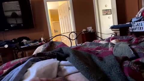 redneck200770 online show from 02-03-26, 04:23