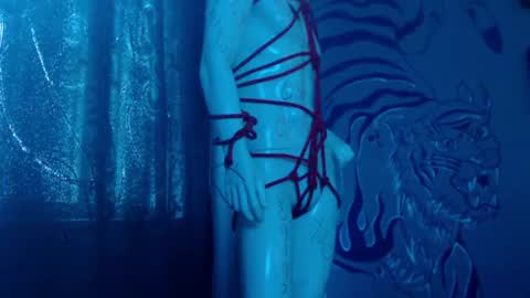 Snapshot of regina_iris chatting on 04-28-26, 12:10 Regina online show from 04-28-26, 12:10