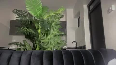 reina77xo online show from 06-14-26, 05:48