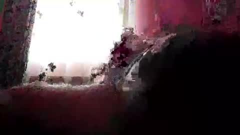 Snapshot of remus60 chatting on 02-23-26, 10:12 remus60 online show from 02-23-26, 10:12