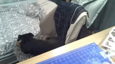 Snapshot of reunionussr chatting on 11-16-25, 04:45 reunionussr online show from 11-16-25, 04:45