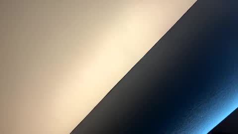 Snapshot of ricardoabrown318 chatting on 11-10-25, 08:24 ricardoabrown318 online show from 11-10-25, 08:24