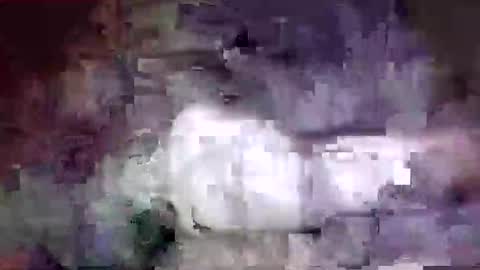 richard11268869 online show from 12-24-24, 10:06