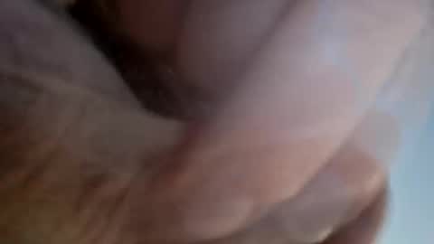 ridik2222333375562 online show from 04-13-26, 02:28