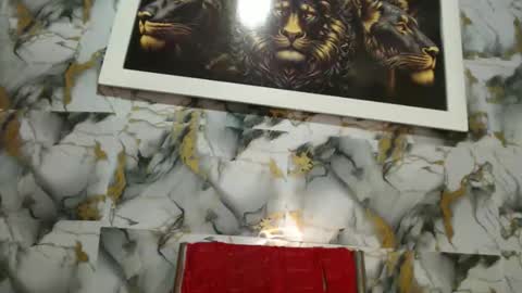 rigel online show from 02-24-26, 06:28