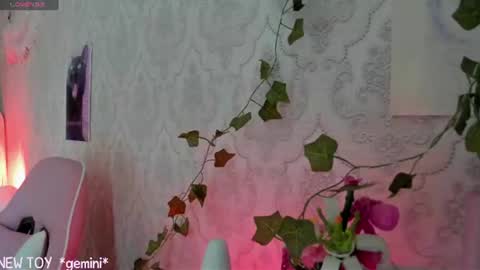 My name is Riley Like my broadcast pls 3 online show from 07-26-26, 07:26