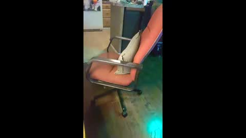 ripchoo online show from 01-09-26, 01:41