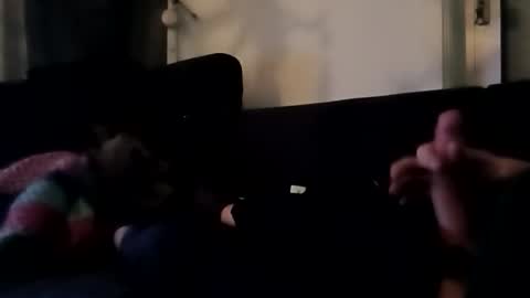 robbdmser3454 online show from 03-06-26, 08:55