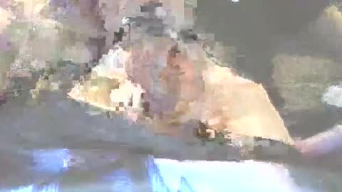 robertharley online show from 12-02-25, 11:04