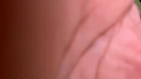 Snapshot of roberto925 chatting on 01-10-25, 07:11 roberto925 online show from 01-10-25, 07:11