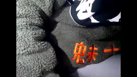 R online show from 03-01-25, 08:13