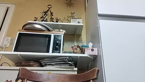 robke1966 online show from 12-23-25, 07:06